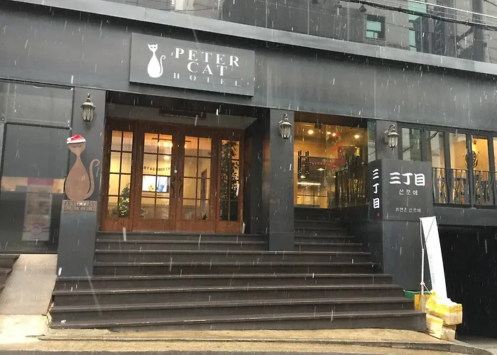 彼得猫酒店新村-弘大店