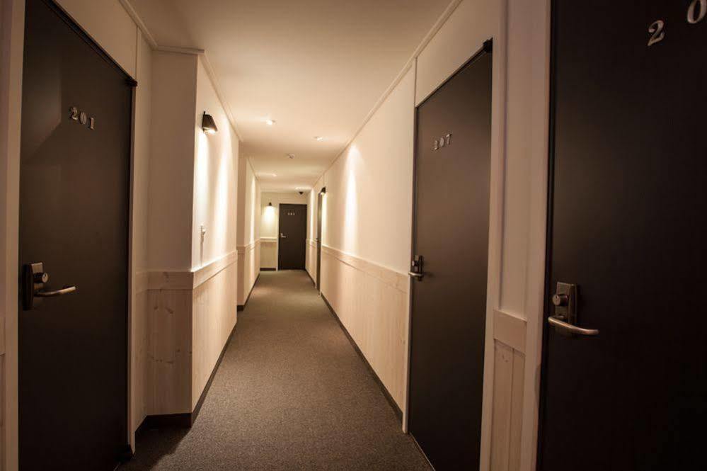 Petercat Shinchon Hotel