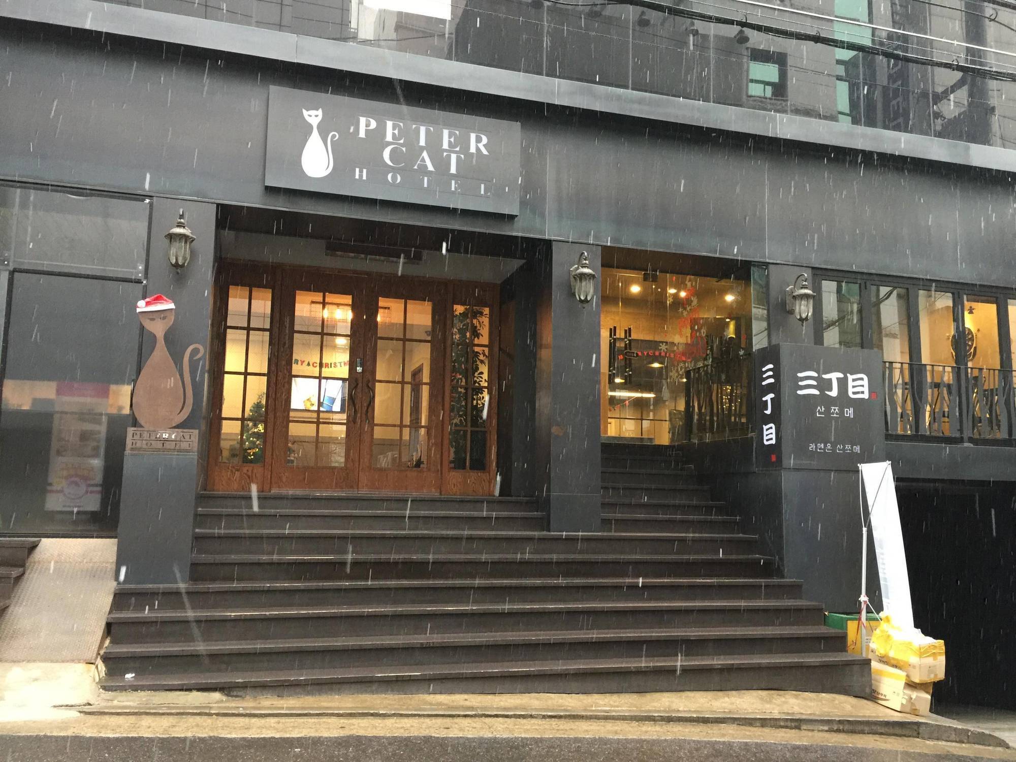 Petercat Shinchon Hotel