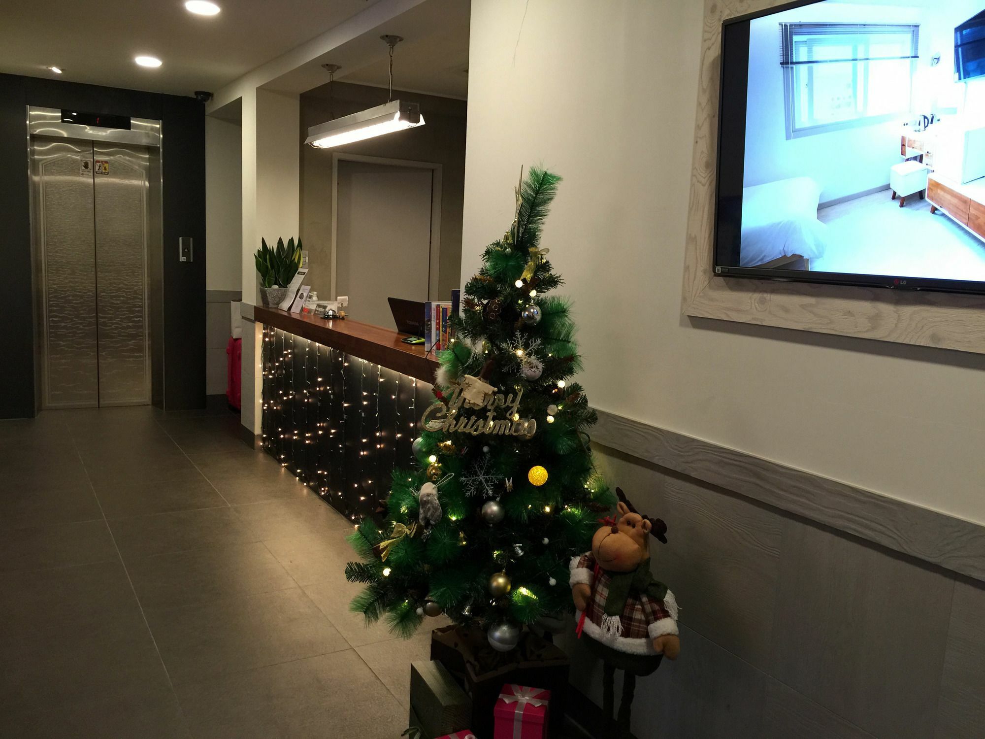 彼得猫酒店新村-弘大店 3* 首爾