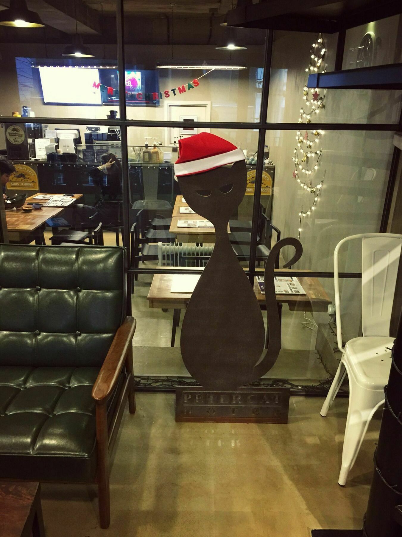 Petercat Shinchon Seoul