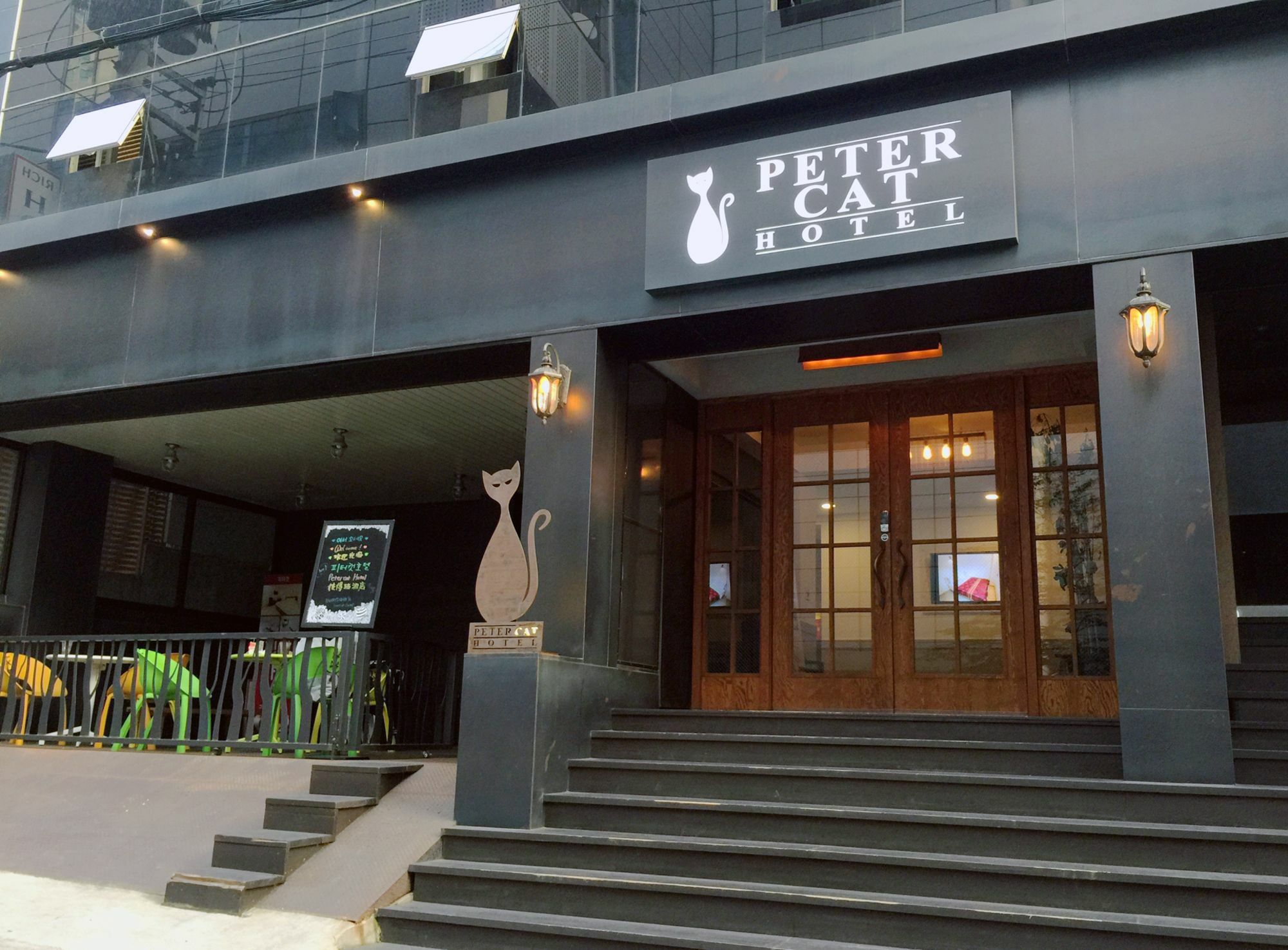 피터캣 신촌